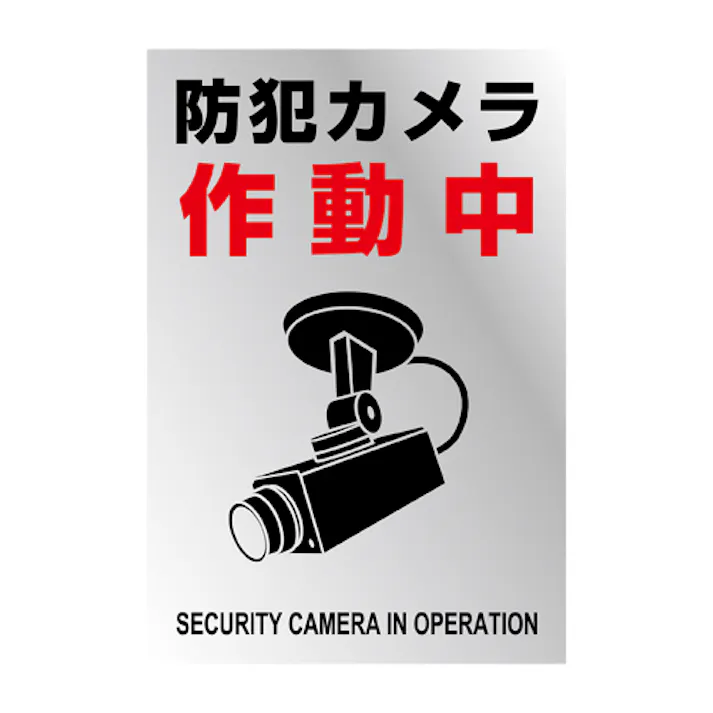 ESCO 220x150mm 防犯用ステッカー(防犯カメラ/2枚) EA983TS-47 4550061929469(CDC)【別送品】