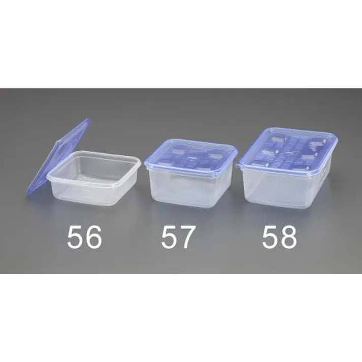ESCO 700ml 密閉保存容器(ジップロックコンテナー/2個) 洗濯・キッチン用品 4548745524949 EA508TK-56(CDC)【別送品】