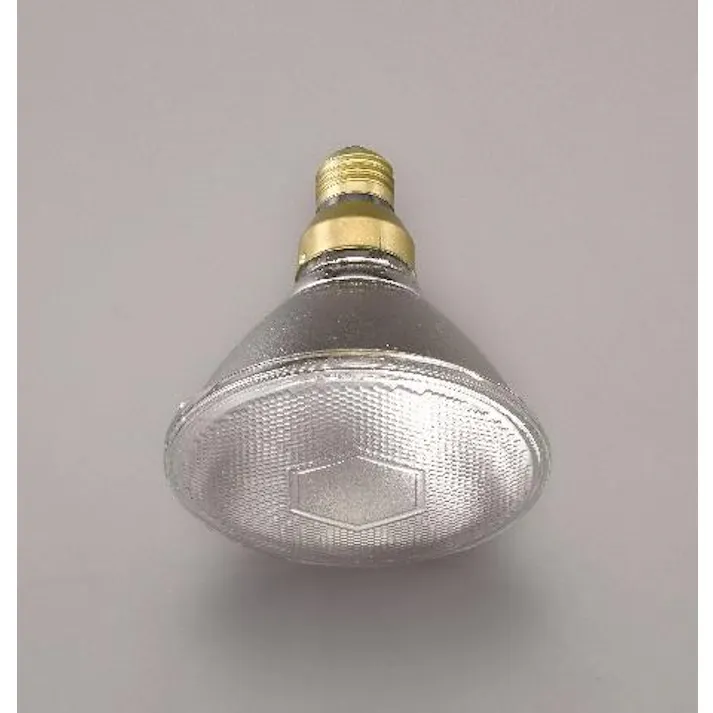 朝日電器(ELPA) AC110V/ 60W/100形 ビームランプ(散光) 電球・蛍光灯 4550061300138 EA758XA-62A(CDC)【別送品】