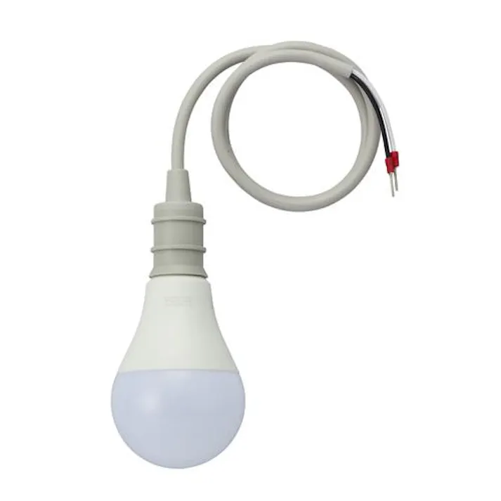ESCO AC100-200V/19W/電球/LED(ソケット一体型) 電球・蛍光灯 4550061878101 EA758XN-3(CDC)【別送品】
