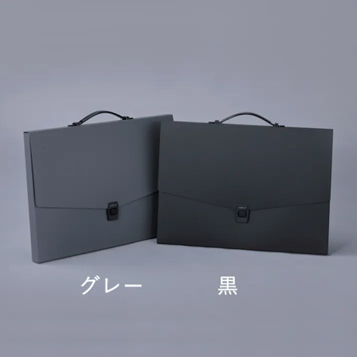 セキセイ(sedia) デザインケース(黒) B3/420x570mm EA762CF-475 4550061784501【別送品】