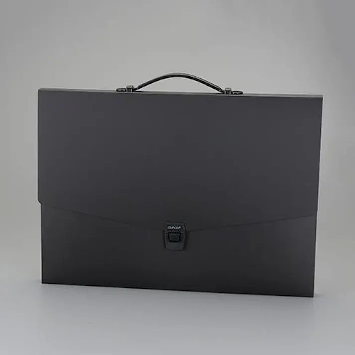 セキセイ(sedia) A2/460x635mm デザインケース(黒) ファイル 4550061784518 EA762CF-476(CDC)【別送品】