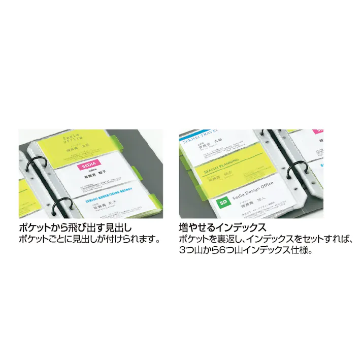 セキセイ(sedia) カード・名刺ホルダー(ブルー) 180枚 EA762CJ-36 4550061831526【別送品】