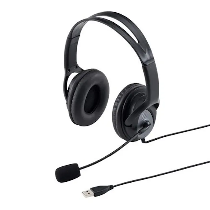 サンワサプライ USBヘッドセット(大型ソフトイヤーパッド) 2.1m EA763BC-47 4550061672983【別送品】