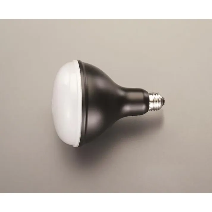 アイリスオーヤマ(IRIS OHYAMA) 18W/口金E26 作業灯用LED球 工事現場用作業灯 4550061091012 EA814AR-20(CDC)【別送品】
