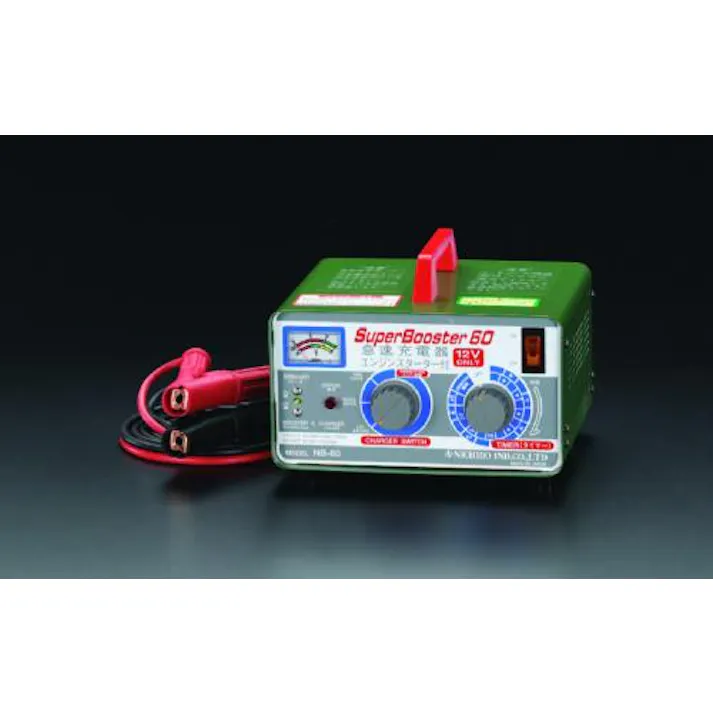 日動工業 急速充電機 AC100V EA815YA-1 4518340613867【別送品】