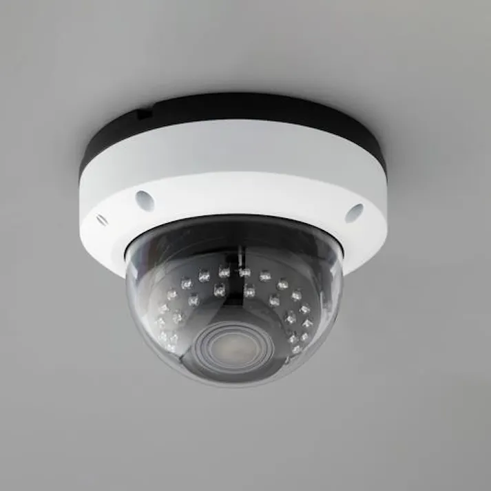 NSK 暗視カメラ(屋外用) 504万画素 EA864CD-624 4550061899014【別送品】