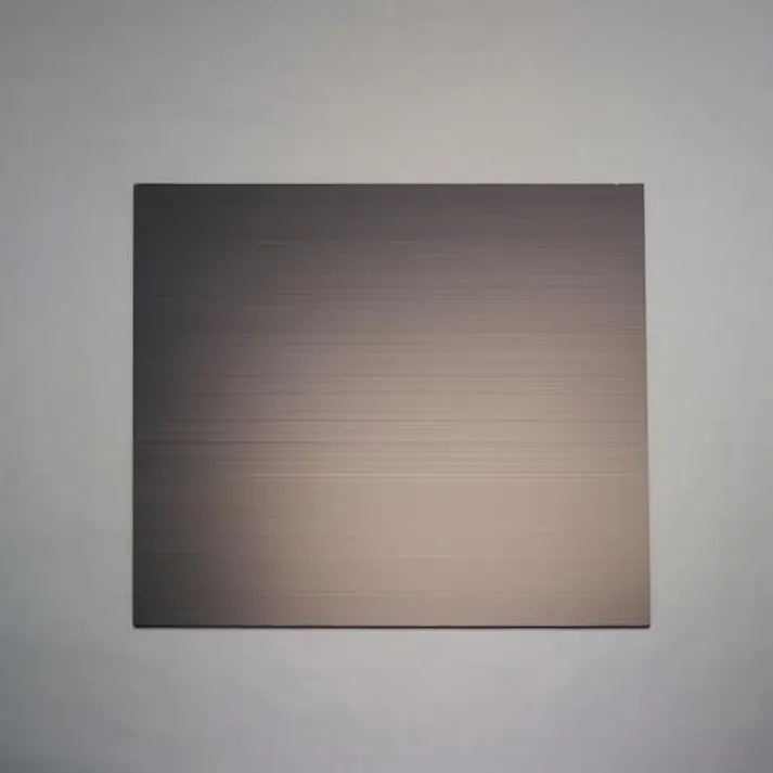 住化プラステック 900× 900×4mm プラダン(サンプライ・導電/5枚) シート 4550061103074 EA911BD-312(CDC)【別送品】