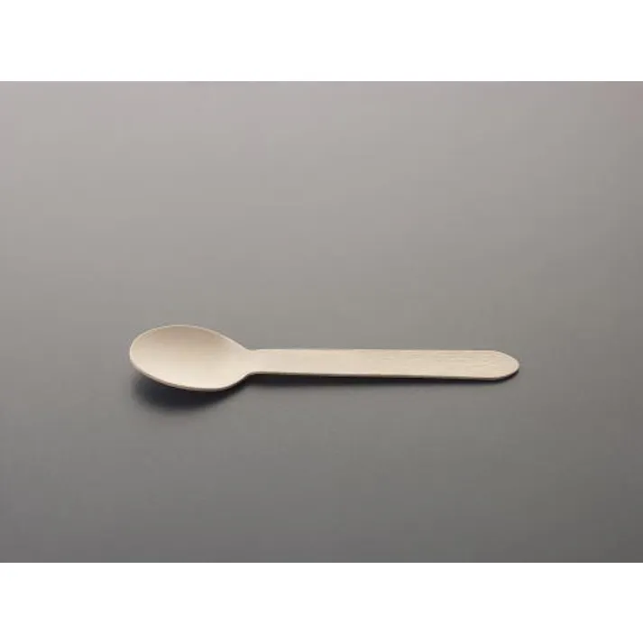ESCO 160mm スプーン(木製/100本) 洗濯・キッチン用品 4550061377390 EA912MD-12(CDC)【別送品】