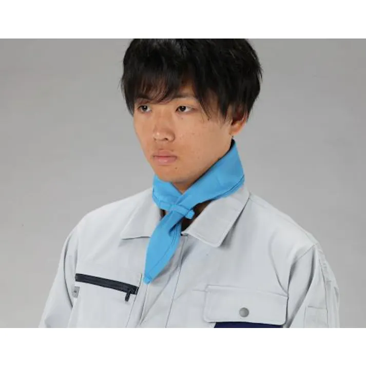 ESCO クールネックバンド(ブルー) 暑さ対策用品 4550061239056 EA915EM-16(CDC)【別送品】