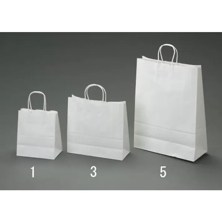 ESCO 210x120x250mm 紙袋(白無地/50枚) 洗面・バス・トイレ用備品・消耗品・エチケット商品 4550061211281 EA927SA-1(CDC)【別送品】
