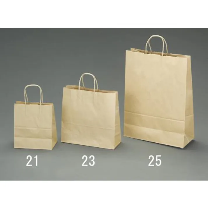 ESCO 210x120x250mm 紙袋(無地/50枚) 洗面・バス・トイレ用備品・消耗品・エチケット商品 4550061218471 EA927SA-21(CDC)【別送品】