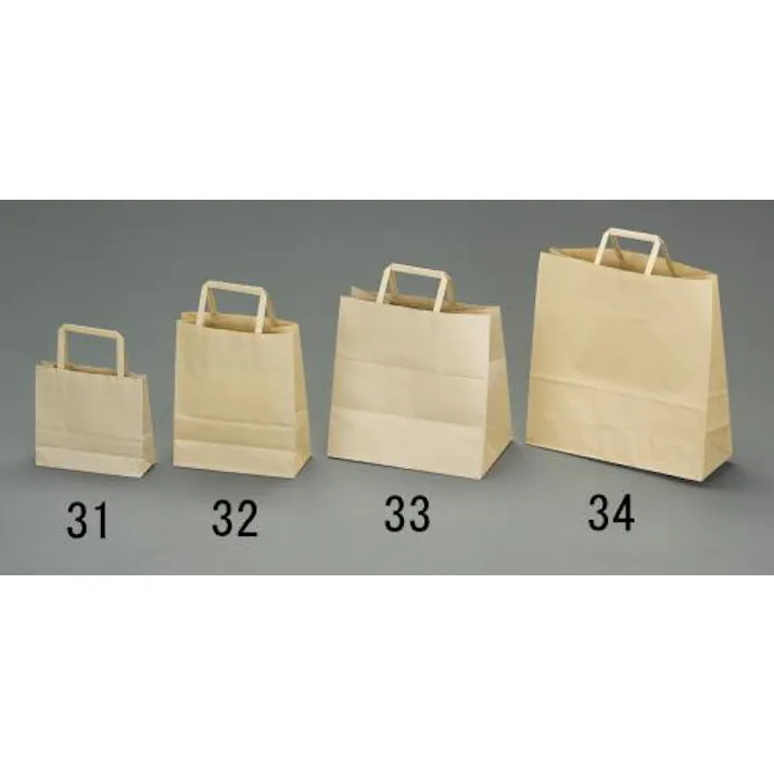 ESCO 320x115x320mm 紙袋(無地/50枚) 洗面・バス・トイレ用備品・消耗品・エチケット商品 4550061219546 EA927SA-34(CDC)【別送品】