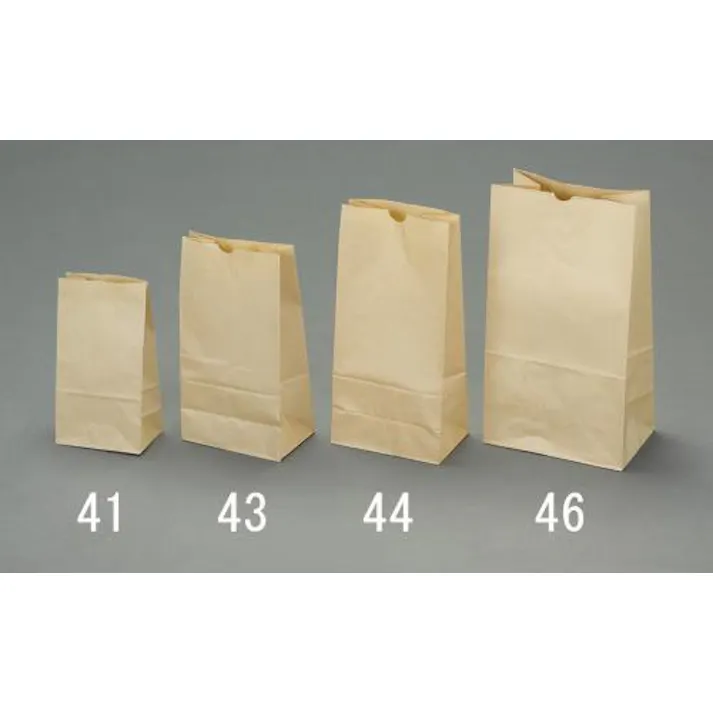 ESCO 180x105x350mm 紙袋(無地/100枚) 洗面・バス・トイレ用備品・消耗品・エチケット商品 4550061222553 EA927SA-45(CDC)【別送品】