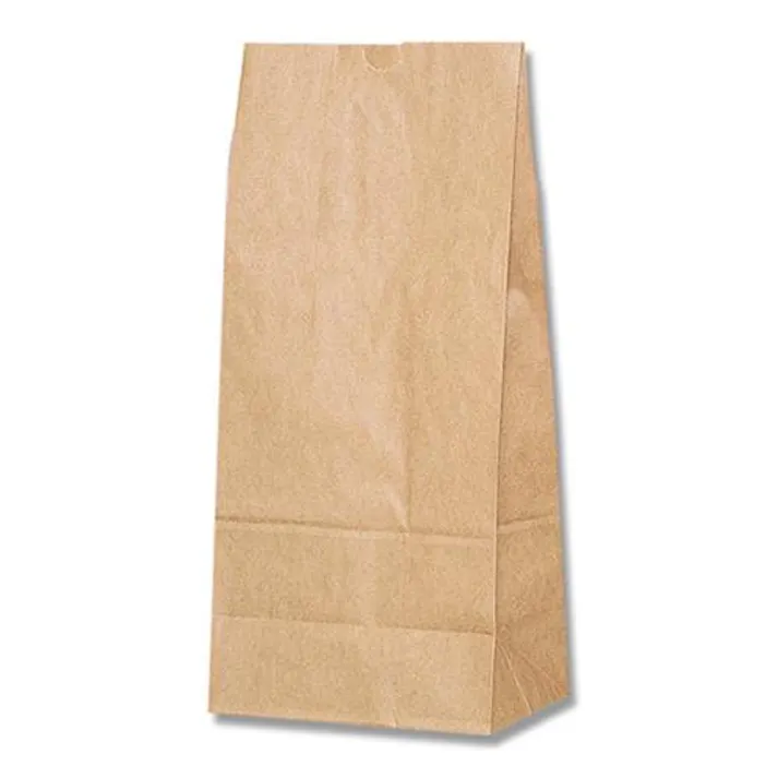 ESCO 210x130x450mm 紙袋(無地/100枚) 洗面・バス・トイレ用備品・消耗品・エチケット商品 4550061768921 EA927SA-49(CDC)【別送品】