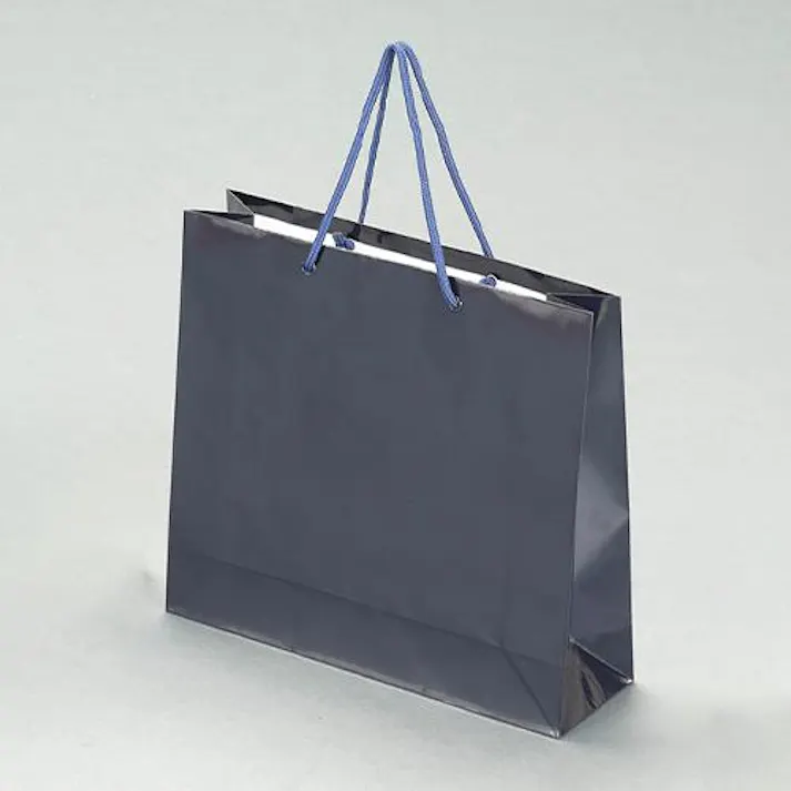 ESCO 330x100x300mm ファンシーバッグ(紫紺/10枚 洗面・バス・トイレ用備品・消耗品・エチケット商品 4550061220535 EA927SA-58(CDC)【別送品】