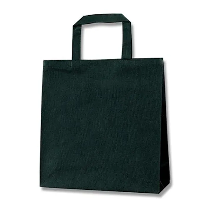 ESCO 320x110x330mm ファンシーバッグ(黒/10枚) 洗面・バス・トイレ用備品・消耗品・エチケット商品 4550061220542 EA927SB-1(CDC)【別送品】