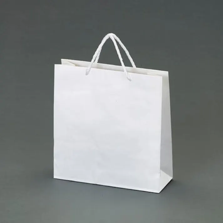 ESCO 320x115x330mm 紙袋(白無地/50枚) 洗面・バス・トイレ用備品・消耗品・エチケット商品 4550061767436 EA927SB-24(CDC)【別送品】