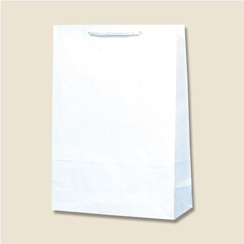 紙袋(白無地/50枚) 380x150x520mm EA927SB-27 4550061767450【別送品】