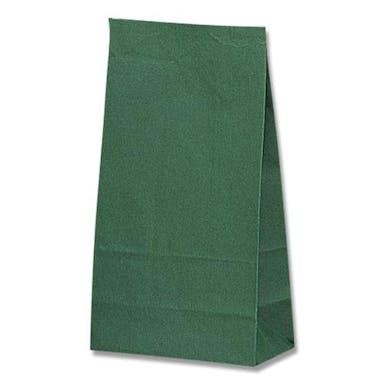 ESCO  150x 90x280mm カラー紙袋(緑/100枚) 洗面・バス・トイレ用備品・消耗品・エチケット商品 4550061898451 EA927SB-70(CDC)【別送品】