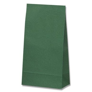 ESCO  180x105x350mm カラー紙袋(緑/100枚) 洗面・バス・トイレ用備品・消耗品・エチケット商品 4550061898475 EA927SB-72(CDC)【別送品】