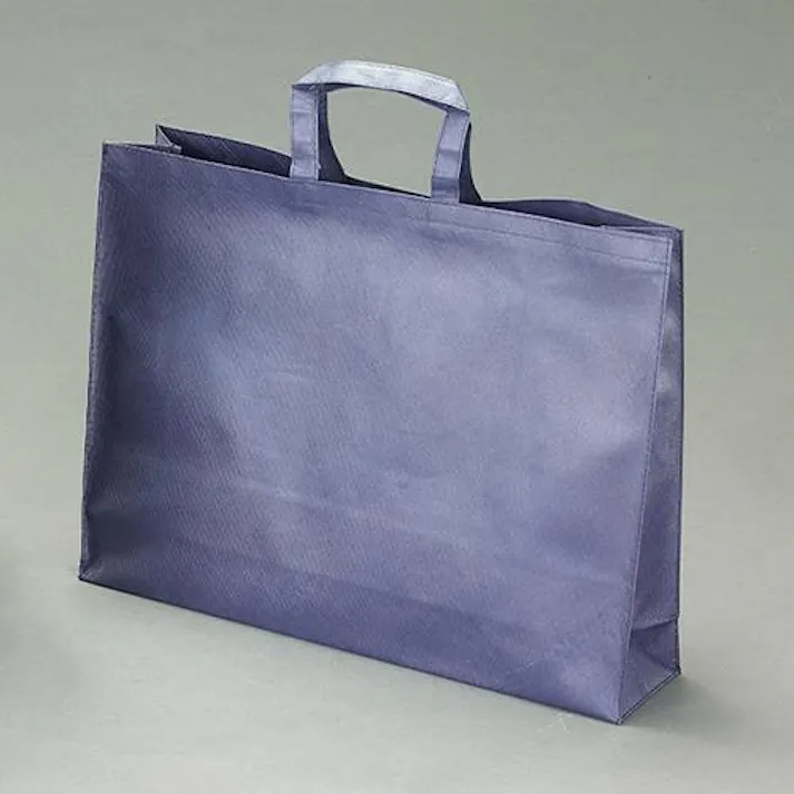 ESCO 530x120x400mm ファンシーバッグ(紺/10枚) 洗面・バス・トイレ用備品・消耗品・エチケット商品 4550061221570 EA927SB-8(CDC)【別送品】