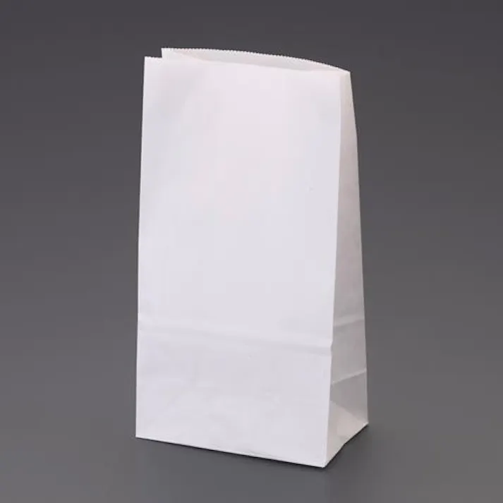 ESCO 120x 70x220mm 紙袋(白/無地/100枚) 洗面・バス・トイレ用備品・消耗品・エチケット商品 4550061898529 EA927SB-81(CDC)【別送品】