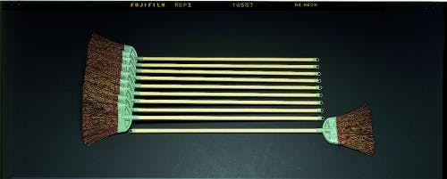 ほうき(シダ・10本組) 1220mm EA928AD-10 4518340132610【別送品】