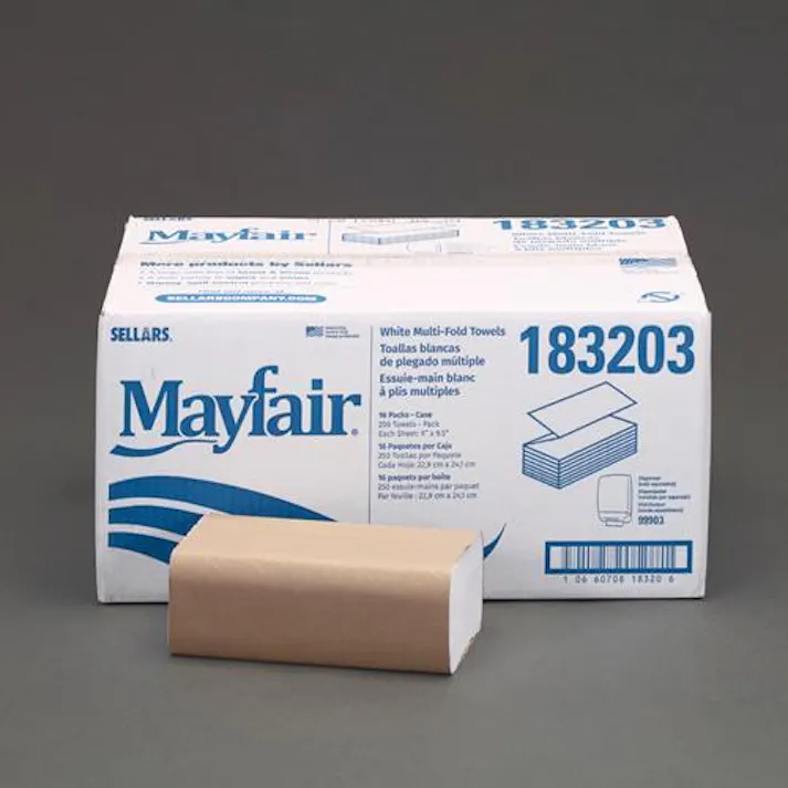 ESCO 228x241mm ペーパータオル(250枚/16パック) 洗面・バス・トイレ用備品・消耗品・エチケット商品 4550061862308 EA929AP-143B(CDC)【別送品】