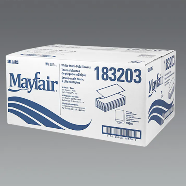 ESCO 228x241mm ペーパータオル(250枚/16パック) 洗面・バス・トイレ用備品・消耗品・エチケット商品 4550061862308 EA929AP-143B(CDC)【別送品】