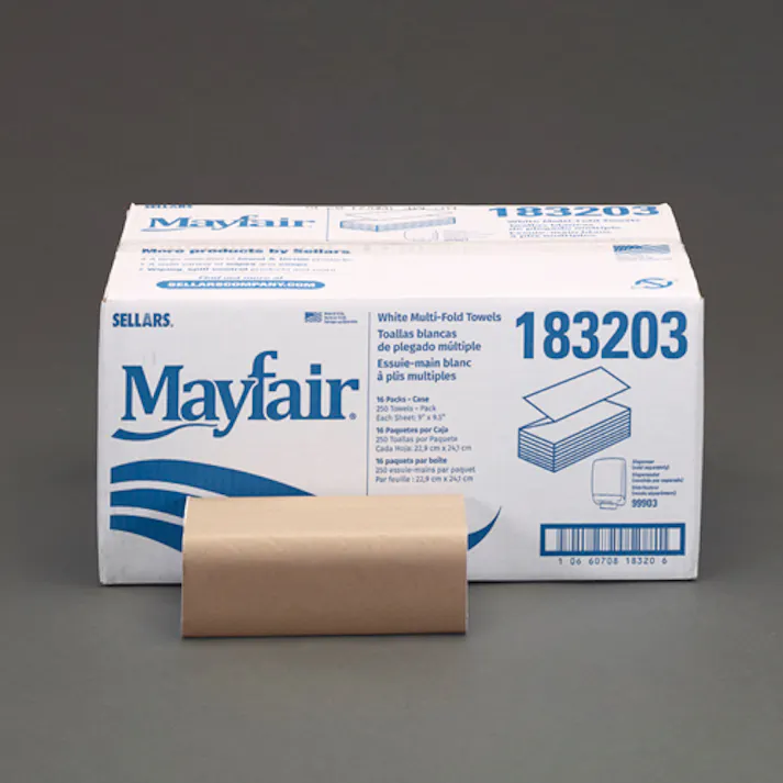 ESCO 228x241mm ペーパータオル(250枚/16パック) 洗面・バス・トイレ用備品・消耗品・エチケット商品 4550061862308 EA929AP-143B(CDC)【別送品】