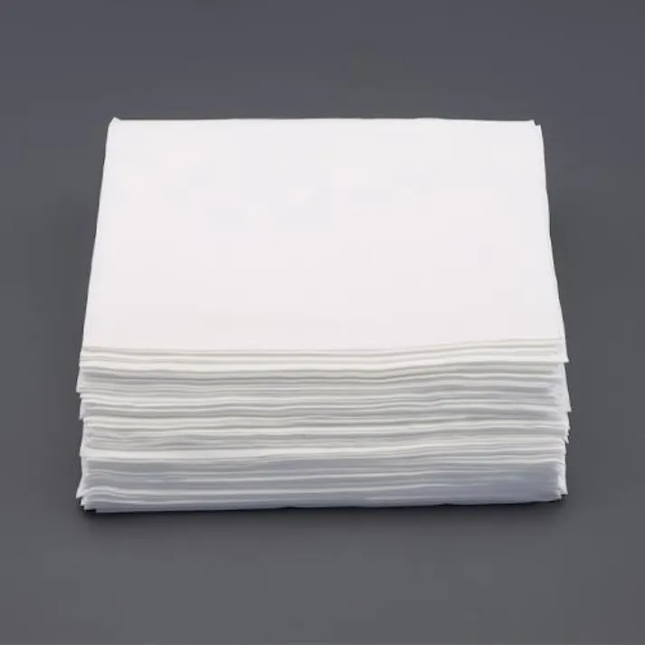 東レ(TORAY) 240x240mm クリーンルーム用クロス(トレシーME/100枚) ウェス&工業用ワイパー 4550061832349 EA929CH-17(CDC)【別送品】