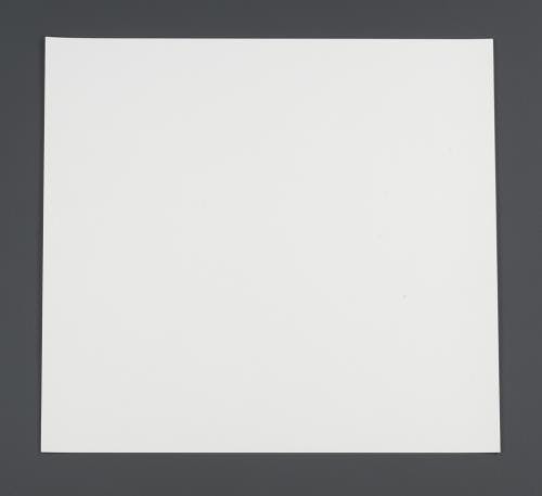 虫よけ粘着シート 500x500mm EA941B-101 4550061236031【別送品】