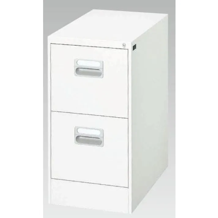 ダイシン工業 387x620x 740mm/2段 キャビネット オフィス家具 4550061076750 EA954DC-18(CDC)【別送品】