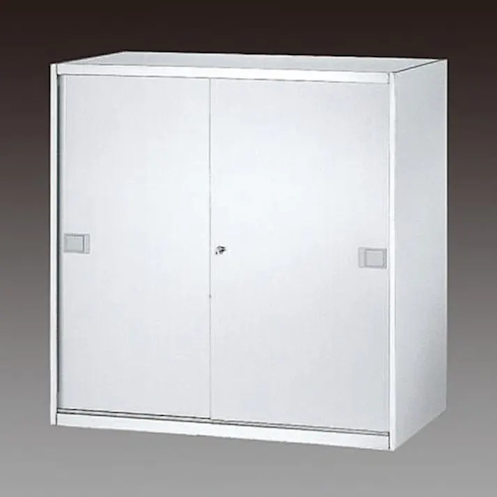 ダイシン工業 900x500x 900mm 収納庫(ステンレス製) オフィス家具 4518340242265 EA954DG-7(CDC)【別送品】