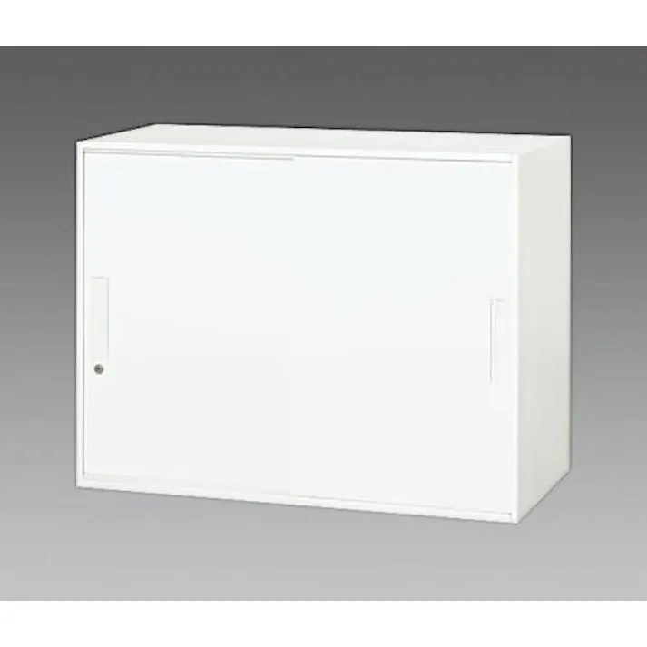 ダイシン工業 900x450x 690mm 収納庫(2枚引き戸) オフィス家具 4548745658071 EA954DJ-3(CDC)【別送品】