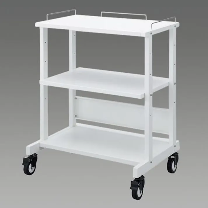サンワサプライ 800x600x1048mm PCラック(立ち作業用) オフィス家具 4550061590775 EA954HC-291(CDC)【別送品】