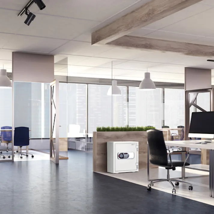 ディプロマット・ジャパン 耐水・耐火金庫 352x469x420mm EA961KD-2A 4550061857687【別送品】