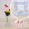 ESCO φ12x2.0mm クッションシール(丸型/60粒) 洗濯・キッチン用品 4550061955567 EA979AD-34(CDC)【別送品】