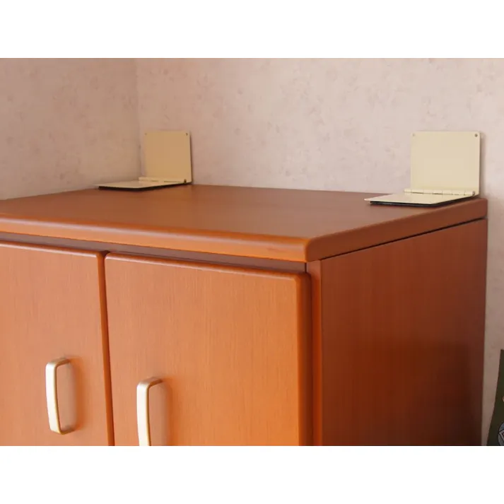 北川工業 転倒防止粘着プレート(2枚) 100x80mm EA979D-116 4548745994674【別送品】