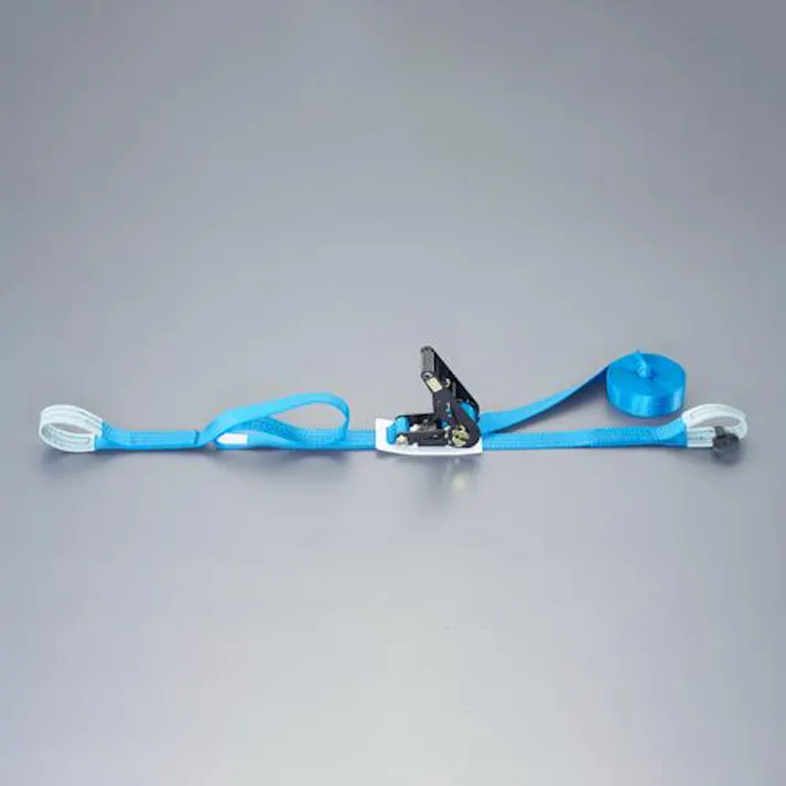 トーヨーセフティー ベルト荷締機(ラチェット式) 35mmx6.0m/509kg EA982RE-6 4550061921265【別送品】