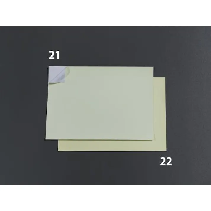 ESCO 297x210mm 蓄光粘着シート(高輝度・長残光タイプ) 屋内安全・保安用品 4548745793536 EA983GG-22(CDC)【別送品】