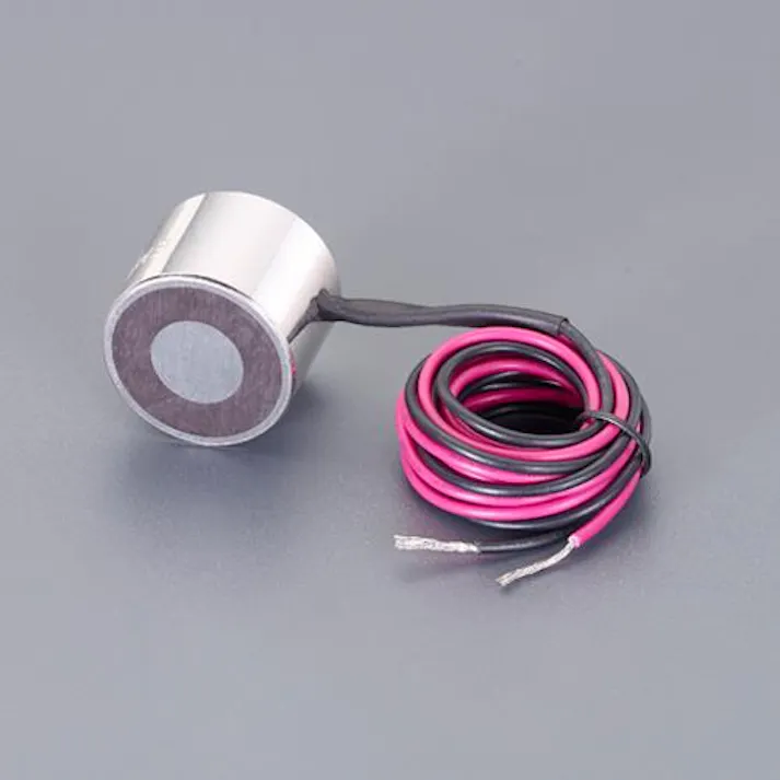 ESCO DC12V/φ 20mm/ 53N 電磁マグネットホルダー ねじ付マグネット 4550061753293 EA984CM-30(CDC)【別送品】