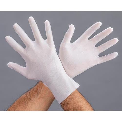 ウインセス 手袋(クリーンルーム用・PE/ウレタンコート/10双) [L/275mm] EA354AS-3 4550061486566【別送品】