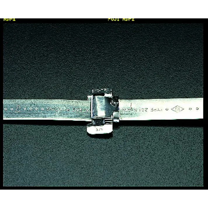 BAND-IT(バンド・イット) バックル(201ステンレス製/100個) 5/8” EA463EJ-5 4518340145412【別送品】