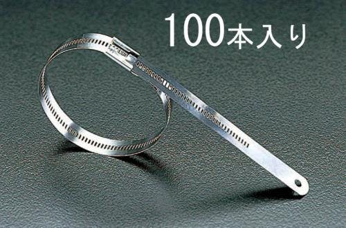 BAND-IT(バンド・イット) 結束バンド(316ステンレス製/100本) 6.9x225mm EA463FA-225 4518340200173【別送品】