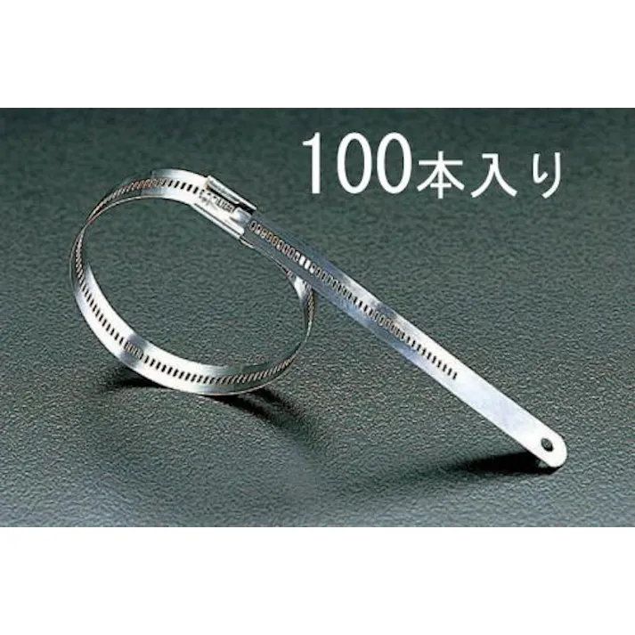BAND-IT(バンド・イット) 6.9x450mm 結束バンド(316ステンレス製/100本) スチール締め付けバンド 4518340200197 EA463FA-450(CDC)【別送品】