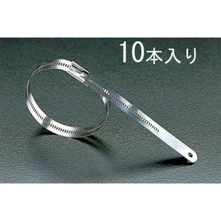 BAND-IT(バンド・イット) 結束バンド(316ステンレス製/10本) 11.9x225mm EA463FB-2 4518340810839【別送品】