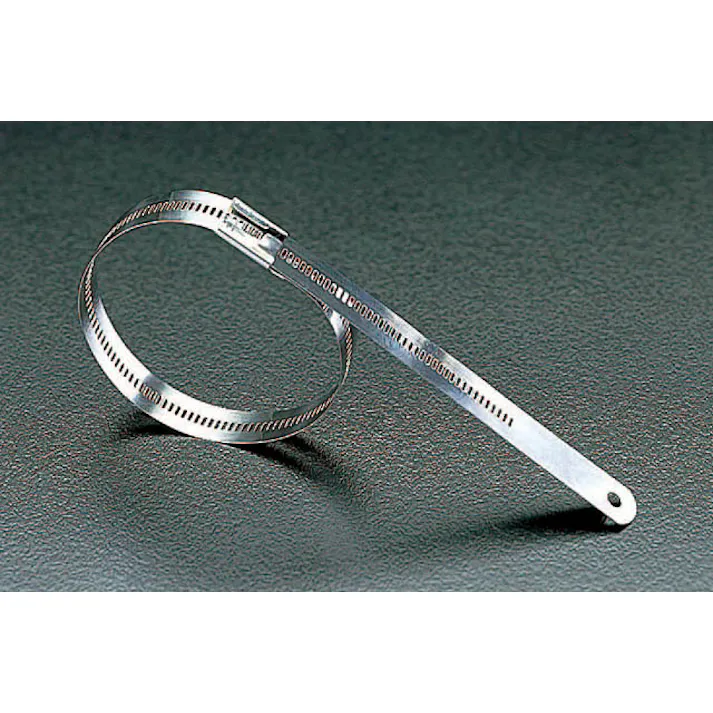 BAND-IT(バンド・イット) 結束バンド(316ステンレス製/10本) 11.9x225mm EA463FB-2 4518340810839【別送品】