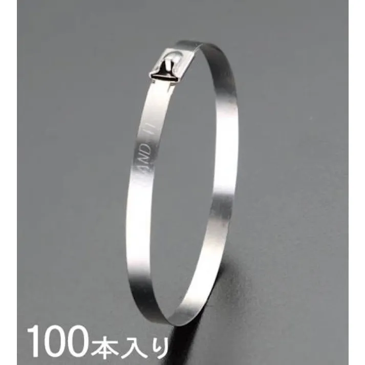 BAND-IT(バンド・イット) 4.6x360mm 結束バンド(SUS304/100本) スチール締め付けバンド 4518340786646 EA463FM-13(CDC)【別送品】